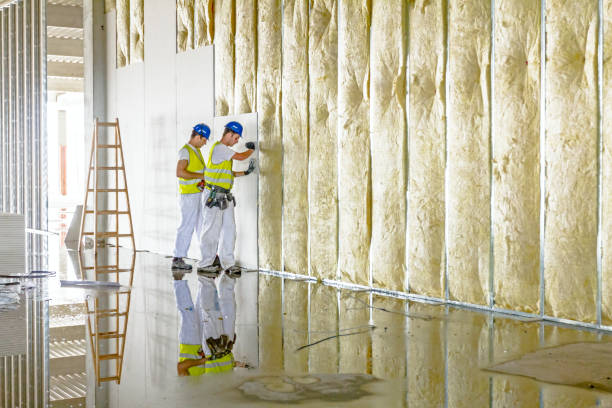 Eco-Friendly or Green Insulation Solutions in Southern View, IL